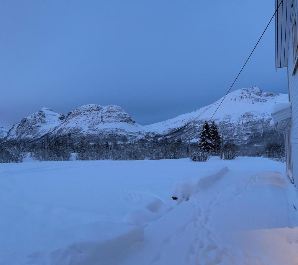Mountainside Lodge - Breivikeidet Tromsø Exterior foto